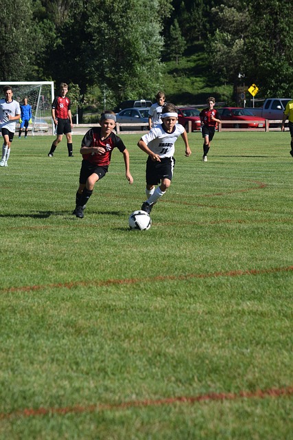 这种针对性 这种针对性